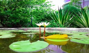 Water conservation in DIU artificial Lake