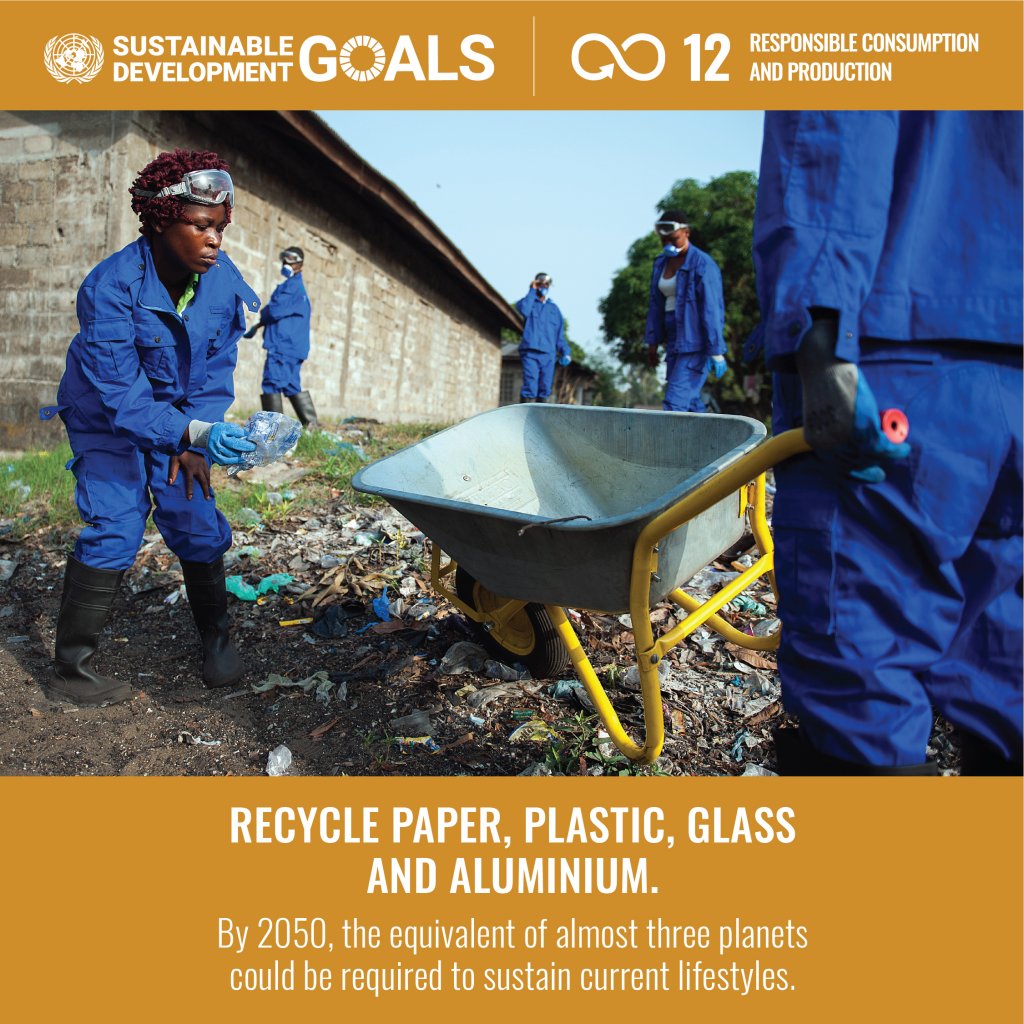 Sdg12